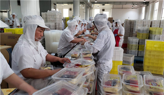 漯河 做强主食产业，打造完善食品产业生态的新坐标